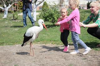 Gustaw wrócił do domu po pieciu latach 
