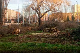 Torowa rewolucja: wycinka drzew na pętli Pomorzany i likwidacja działek