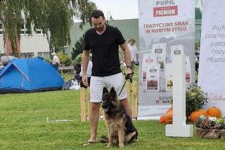 Psie piękności przyjechały do Kalisza 