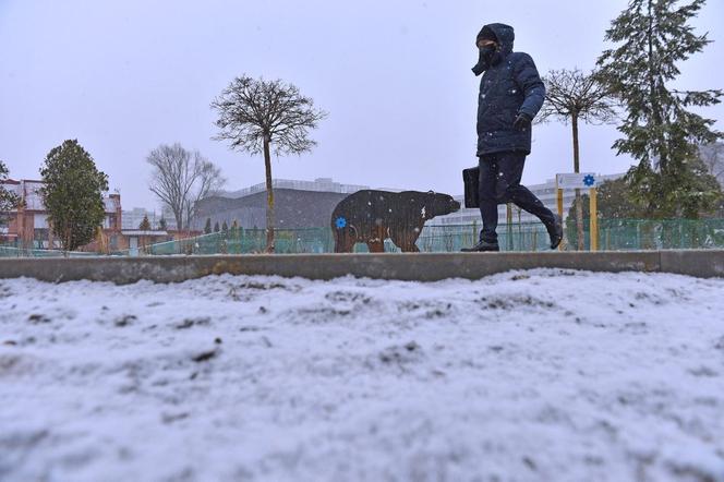 Nagły atak zimy w Warszawie