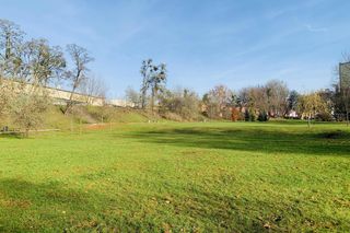 Zagadka patrona bydgoskiego skweru. Urzędnicy i dziennikarze padli ofiarą uczniowskiego żartu