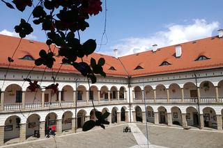 Niepołomice i Puszcza Niepołomicka - idealny sposób na weekend blisko Krakowa. Zwiedzaj z Wędrownymi Motylami!