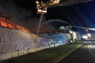 Wielki pożar hali pod Bełchatowem! Strażacy walczyli z żywiołem przez kilka godzin [ZDJĘCIA]
