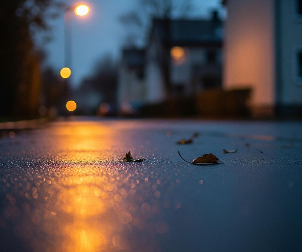 Mokra, ciemna droga zajmuje pierwszy plan obrazu, pokryta drobnymi kroplami wody, które odbijają pomarańczowe światło. Na drodze leżą pojedyncze, suche liście w odcieniach brązu. Główne źródło światła to pomarańczowa latarnia uliczna, widoczna w górnej części obrazu, a jej blask rozlewa się po nawierzchni. W tle widać rozmyte sylwetki budynków z oknami, niektóre z nich są oświetlone ciepłym, pomarańczowym światłem. Całość utrzymana jest w chłodnej, niebiesko-szarej tonacji, przełamanej intensywnymi odcieniami pomarańczowego i żółtego światła.