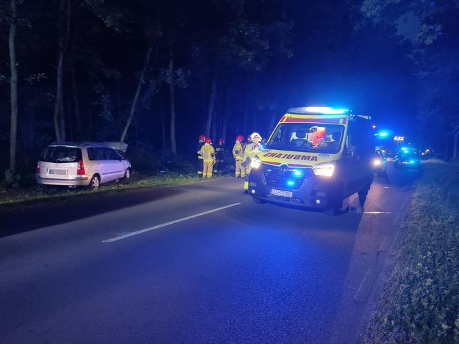Wypadek w gminie Wojcieszków
