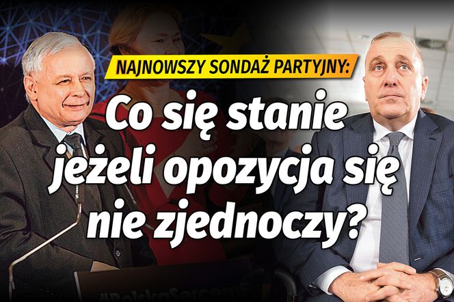 Najnowszy sondaż partyjny