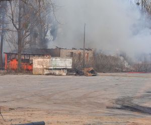 Pożar pustostanów przy ul. Grudziądzkiej w Toruniu. To nie pierwszy raz!