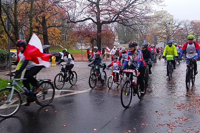 Święto Niepodległości 2025 w Szczecinie