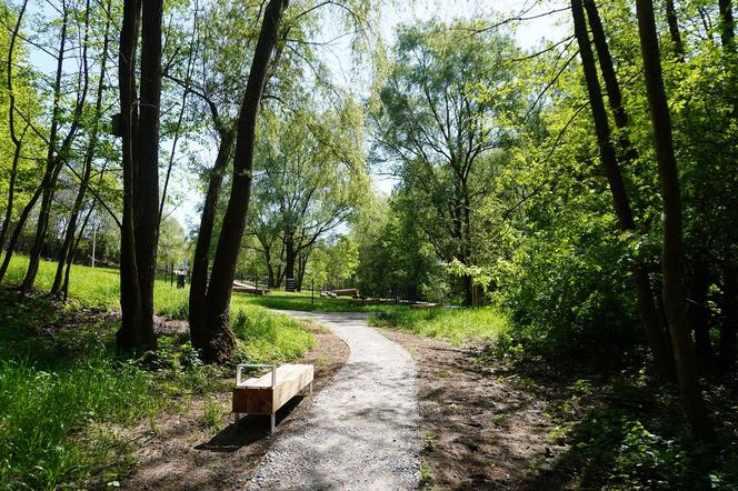 Tak wygląda park w dolinie Ślepiotki w Katowicach