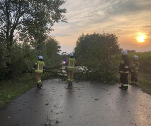 Podlaskie. Ponad 200 niedzielnych interwencji strażaków w związku z silnym wiatrem i burzami