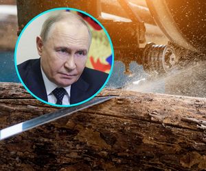 Brzozy od Putina, ogórki z Kremla. Rosyjskie towary wciąż płyną do Europy