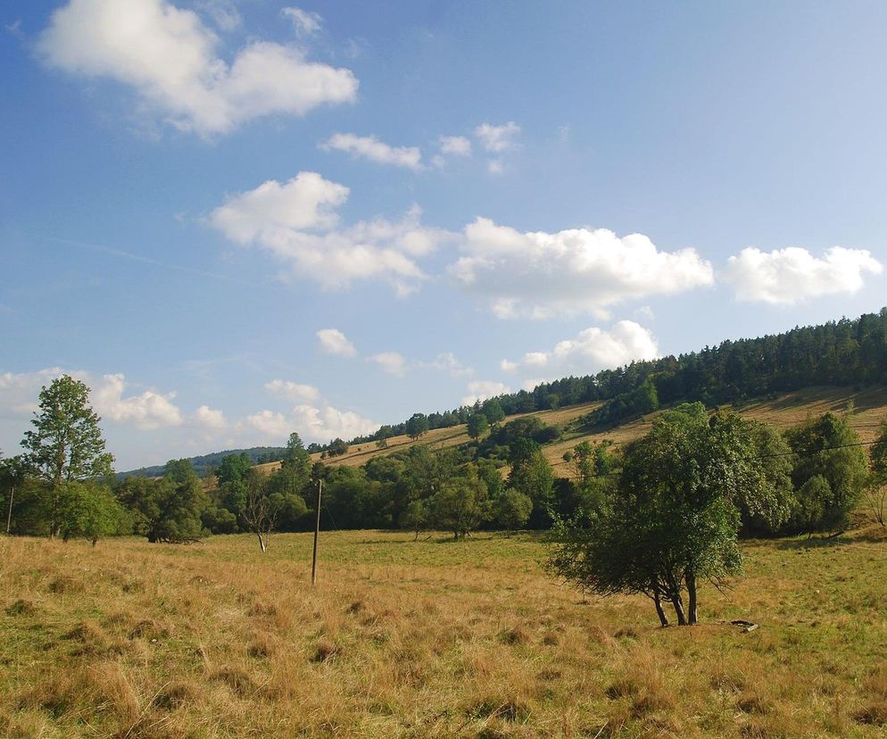 Oto najmniejsza wieś w Małopolsce. Mieszkają w niej dwie osoby! 