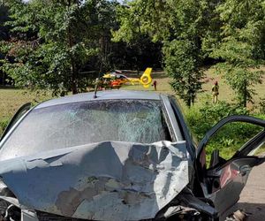 Młody kierowca wjechał w drzewo. 29-latek jechał bez pasów i prawa jazdy