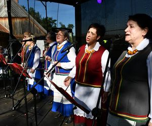 Tłumy na dożynkach w Olsztynku. Zobacz, jak wyglądało tegoroczne święto plonów