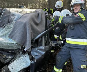 Wypadek na DK 10 w Solcu Kujawskim! Osobówka wypadła z drogi i uderzyła w drzewo [ZDJĘCIA]