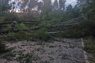 Niebezpieczne burze uderzą w Podkarpacie. Jest ostrzeżenie dla mieszkańców  