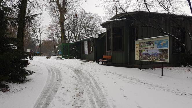 ZOO Toruń zaprasza!