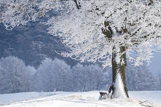  Zapowiada się mroźny weekend na Podkarpaciu. Nawet -19°C! Ostrzeżenie I stopnia