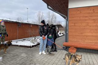 Akcja WOŚP w schronisku dla zwierząt w Nowym Sączu 