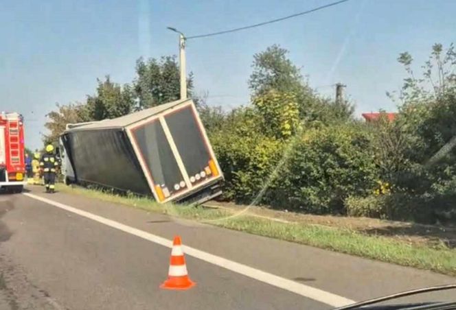  Kierowcę ciężarówki użądliła pszczoła, uderzył w przepust.