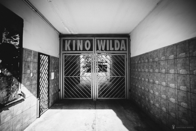 Kino Wilda