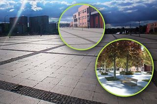 Betonoza przechodzi do historii. Naprawią błędy przeszłości i posadzą dziesiątki drzew