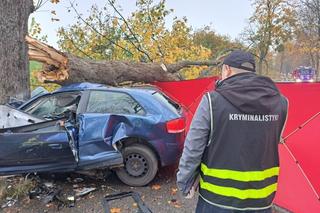 Audi wbiło się w drzewo, 18-latka nie żyje