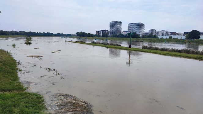 Fala powodziowa we Wrocławiu. Pod wodą są już beach bary i drogi 