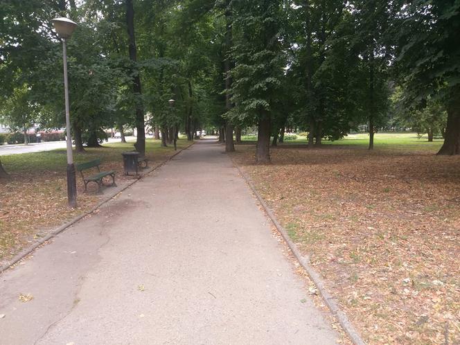 Park przy Dąbrowskiego w Rzeszowie