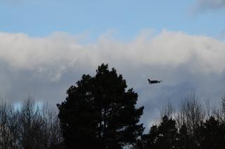 Wszyscy poszukują 82-letniej Władzi! Kobieta od tygodnia nie nawiązała kontaktu z rodziną