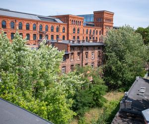 Famuły Poznańskiego ul. Ogrodowa Łódź