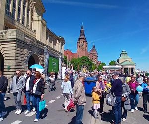 Piknik nad Odrą