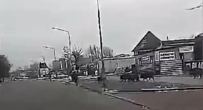 Dziki zaatakowały mężczyznę w centrum miasta. Musiał uciekać przed rozjuszonym stadem [ZDJĘCIA, WIDEO]