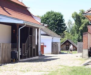 Ciepło i leniwie. Tak wygląda czerwcowe popołudnie w lubelskim skansenie. Zobacz