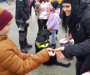 32. finał WOŚP w Nowym Sączu