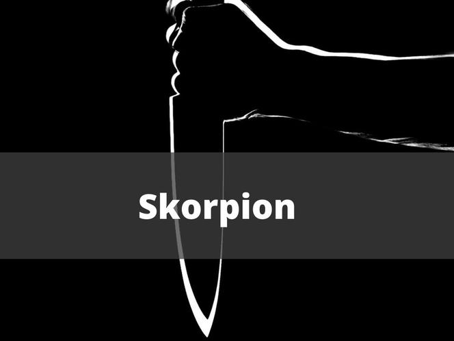 2. Skorpion 