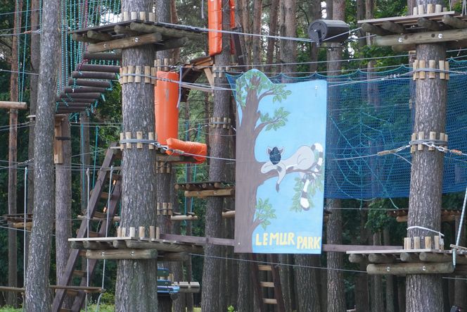 Plaża Dojlidy w Białymstoku