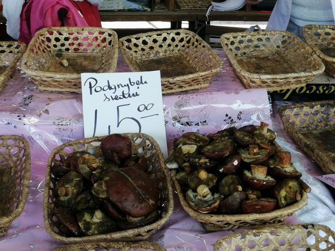 Ile kosztują grzyby w Krakowie? Ceny na targowiskach przyprawiają o zawrót głowy