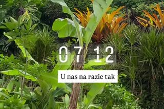 Żebrowscy nadają z Jamajki. Zabrali głos po uderzeniu huraganu