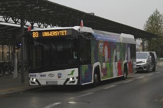 Toruń ma nową linię autobusową. Znamy trasę