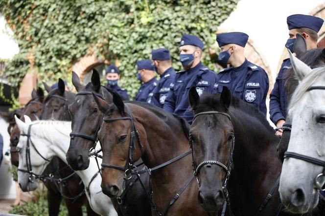 Ładna pogoda w Poznaniu, tłumy nad Wartą! Policja: Do zobaczenia wieczorem! 