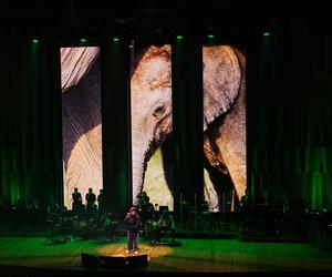 Spektakl audiowizualny USŁYSZ PLANETĘ