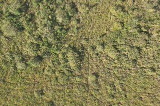 Nowe rezerwaty przyrody w woj. lubelskim 2025