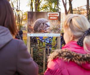 W Witnicy powstała Strefa jeża