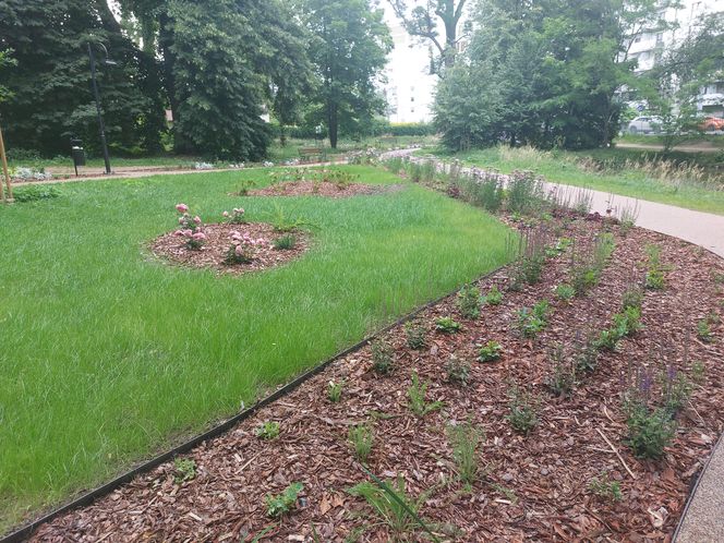 Park im. Szafera w Rzeszowie 