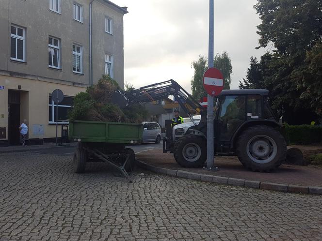 Bukszpany zrobiły miejsce na nowy pomnik w Lesznie. Poświęcony będzie żołnierzom generała Józefa Hallera