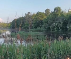 M jak miłość. ślub Marcina