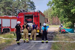 Duży pożar lasu w powiecie wolsztyńskim. Poszkodowani zostali strażacy!