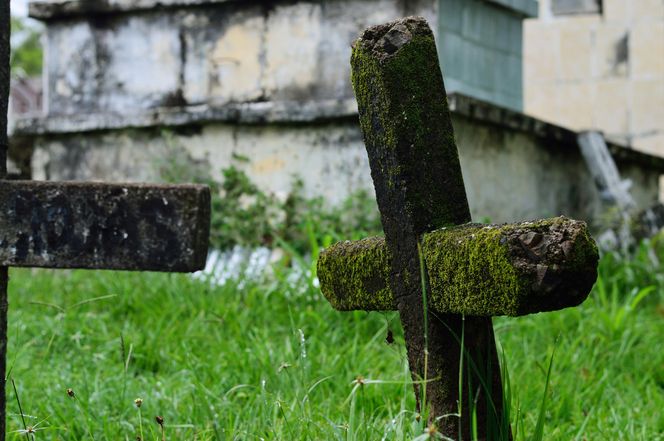 Ile osób umiera w poszczególnych województwach Polski?