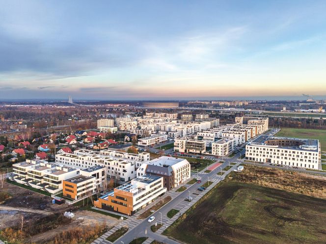 Nowe Żerniki